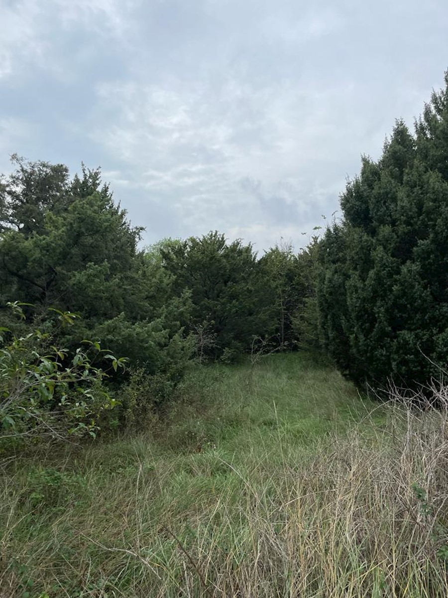 Land For sale - ISTARSKA  MARČANA 