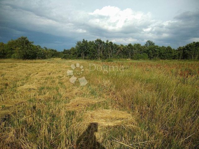 Parcela Naprodaj - Istarska Svetvinčenat - foto 2/13