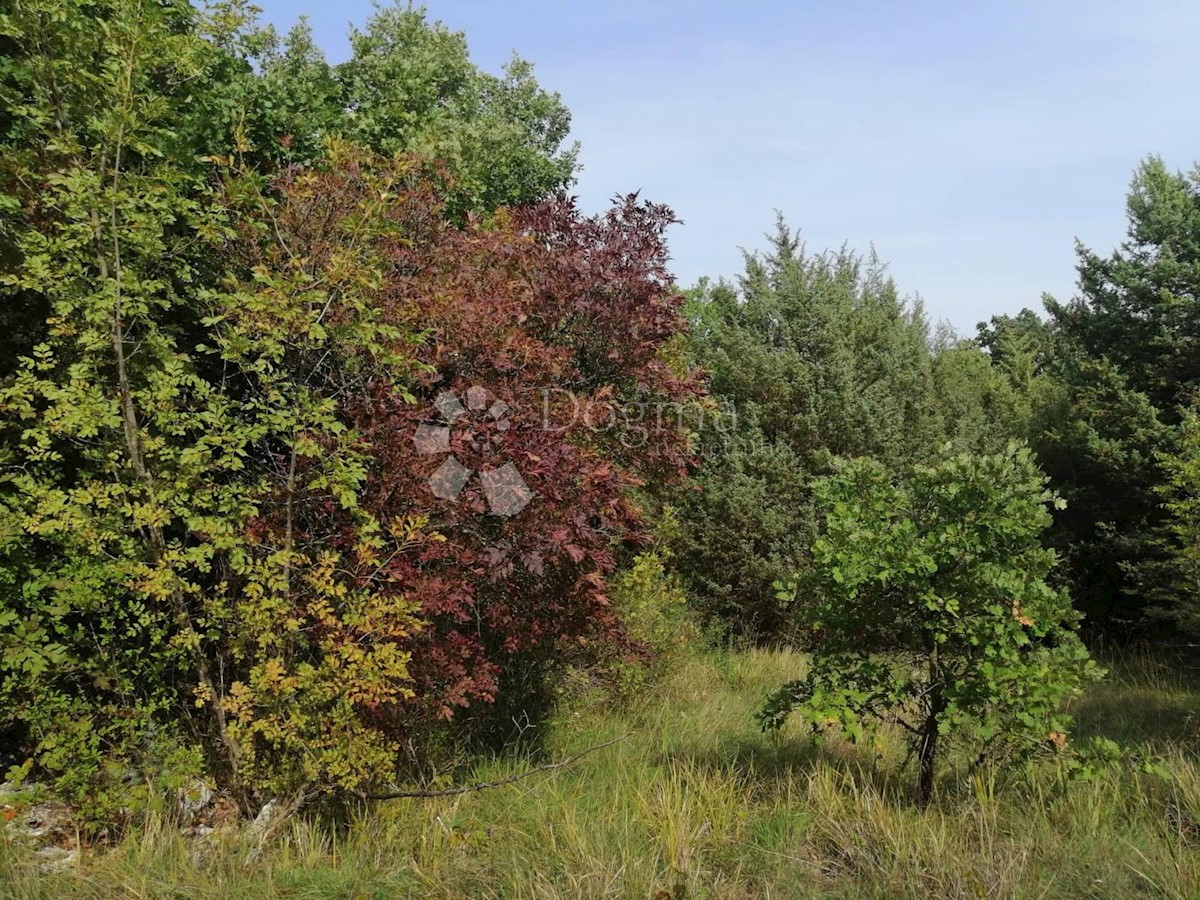 Parcela Naprodaj - ISTARSKA  Svetvinčenat