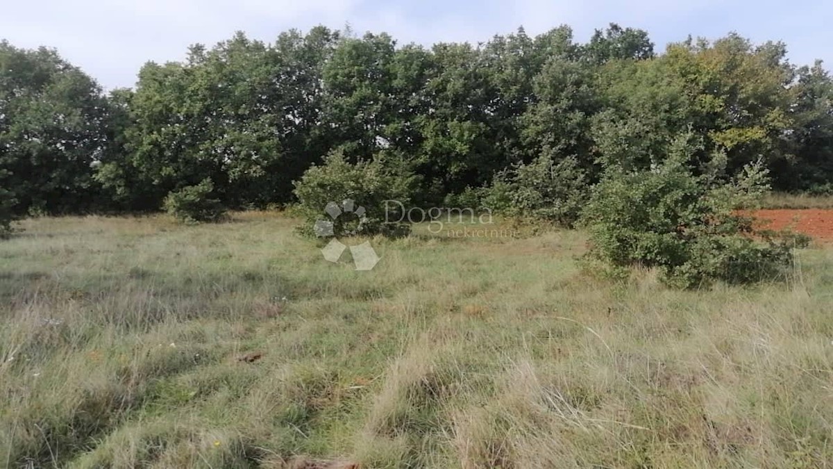 Pozemok Na predaj - ISTARSKA  SVETVINČENAT 