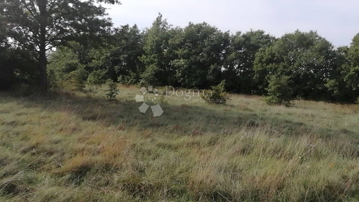 Pozemok Na predaj - ISTARSKA  SVETVINČENAT 