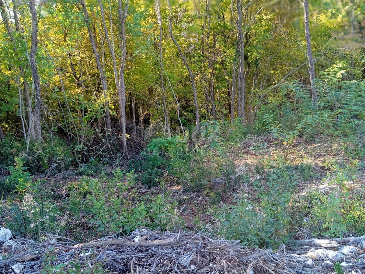 Land For sale - Primorsko-goranska Mošćenička Draga - foto 2/2