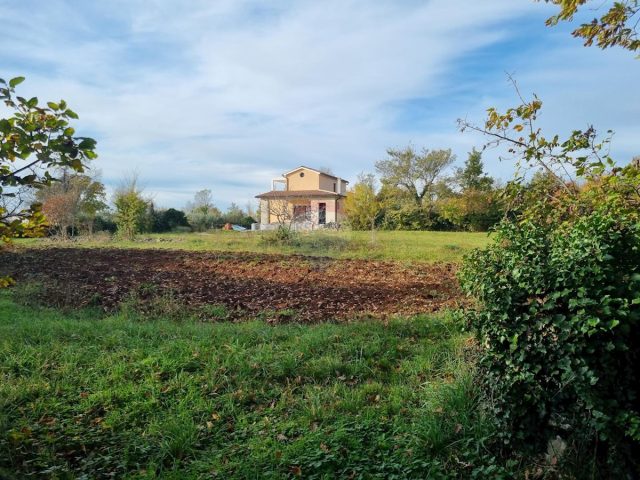Terrain À vendre - Istarska Svetvinčenat - foto 3/3