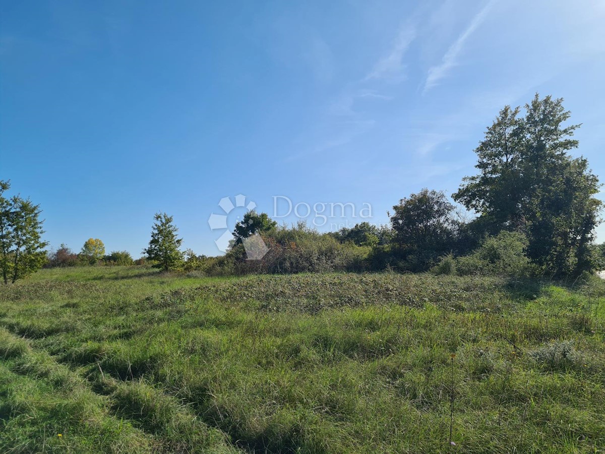 Land For sale - ISTARSKA  SVETVINČENAT 