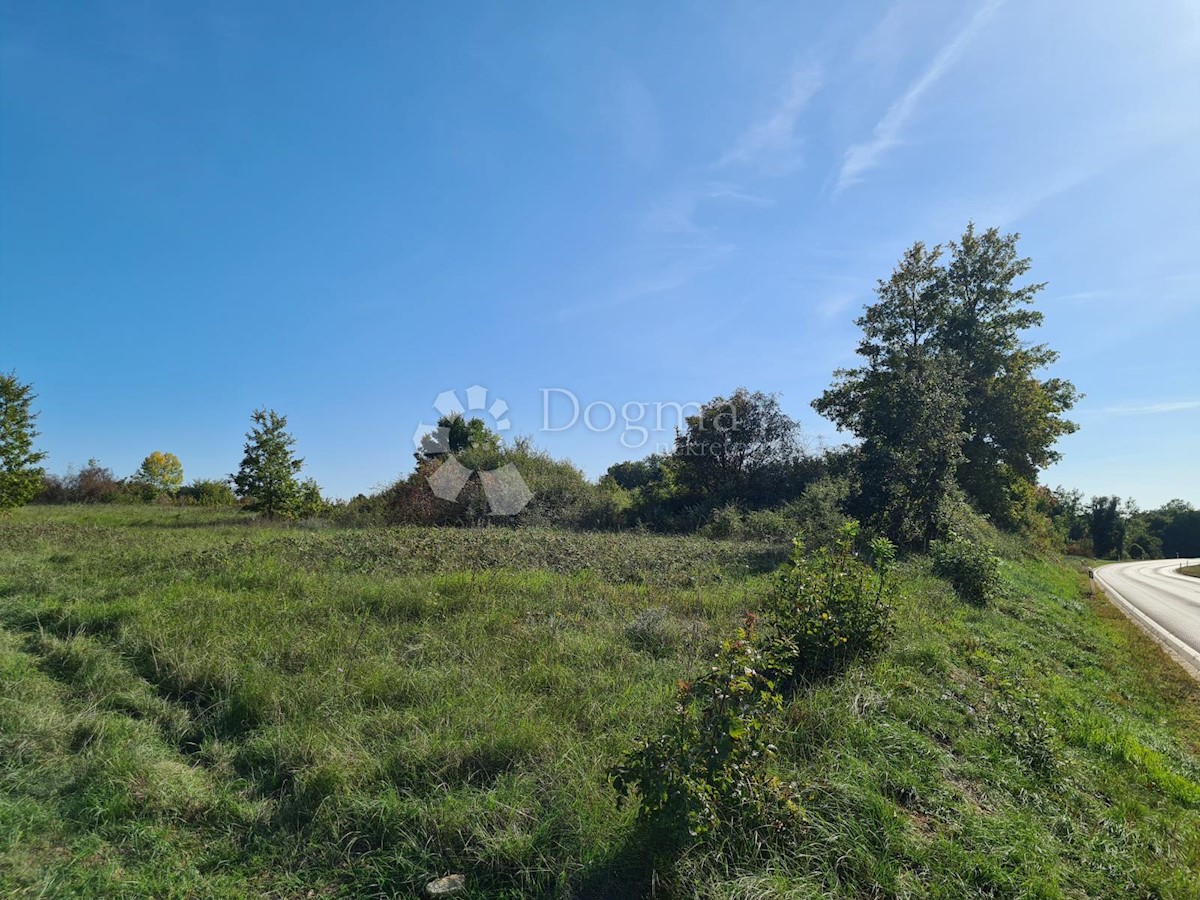 Land For sale - ISTARSKA  SVETVINČENAT 