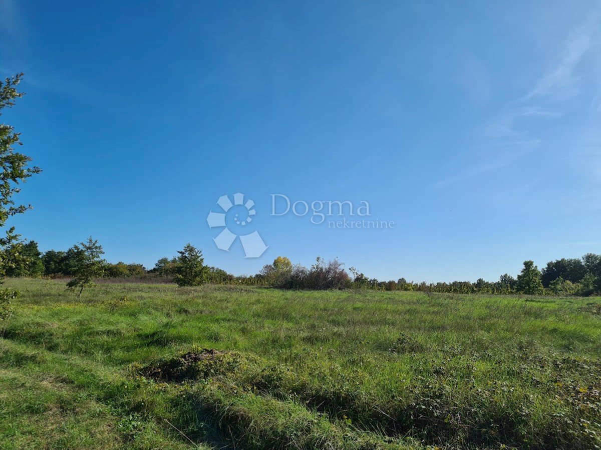 Land For sale - ISTARSKA  SVETVINČENAT 