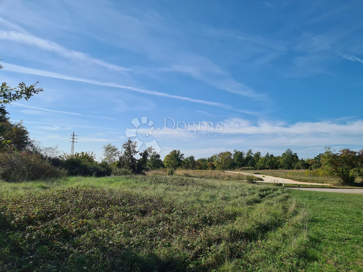 Land For sale - ISTARSKA  SVETVINČENAT 