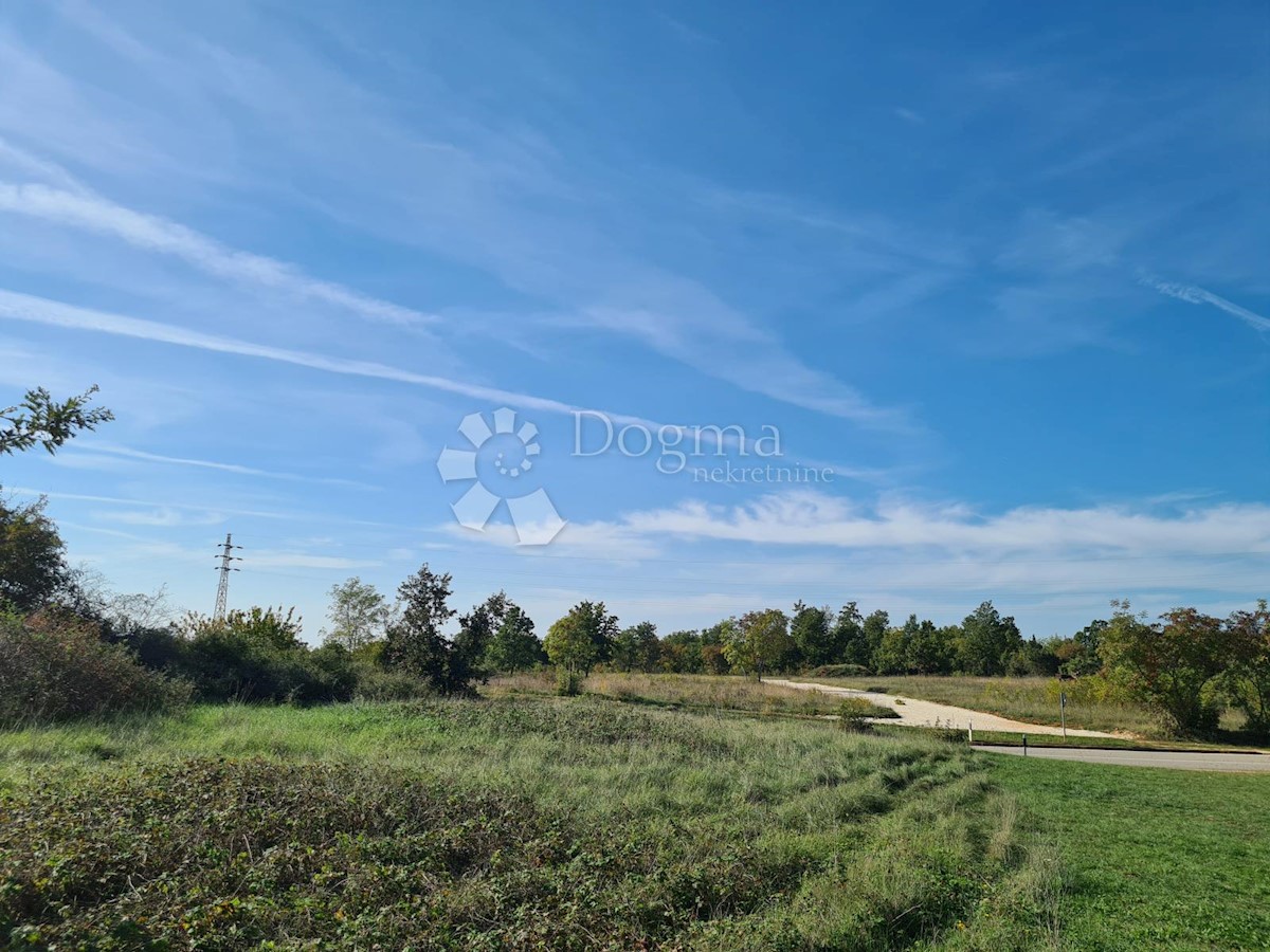 Land For sale - ISTARSKA  SVETVINČENAT 