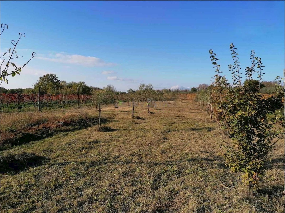 Terreno In vendita POREČ