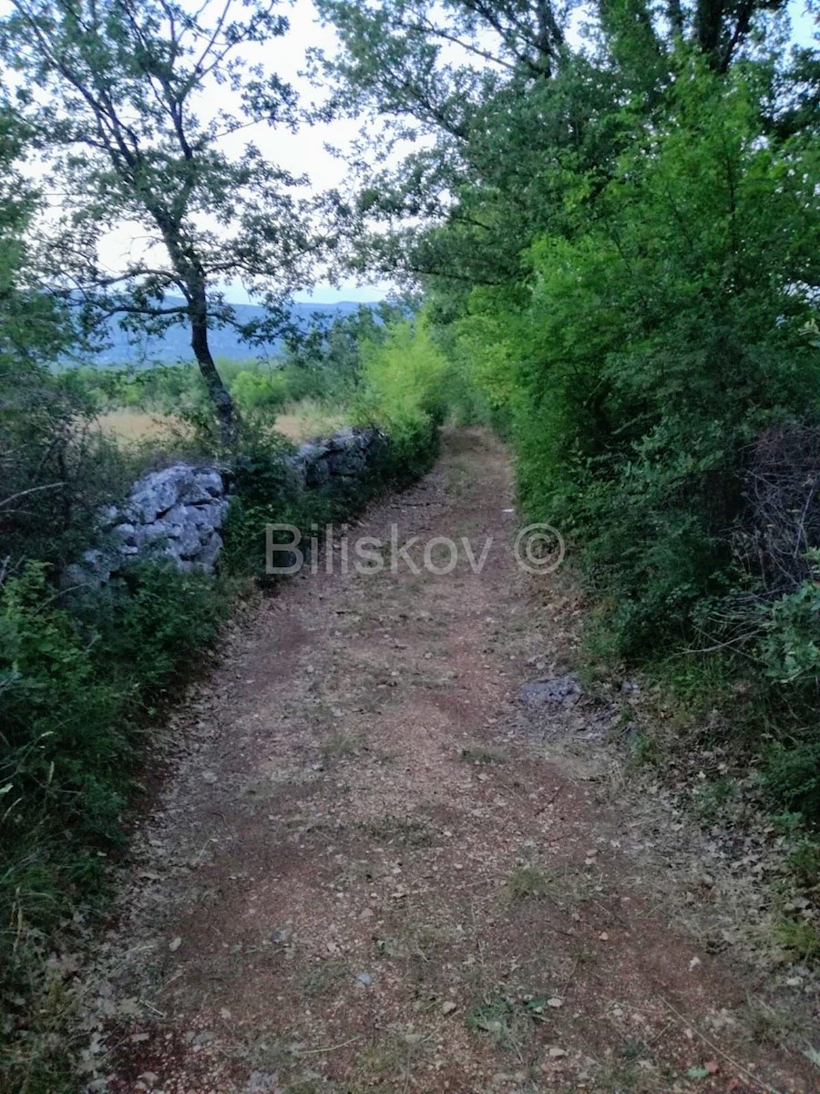 Land For sale - SPLITSKO-DALMATINSKA  LEĆEVICA 