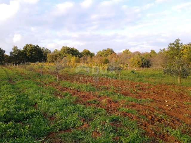 Parcela na predaj 6418 m² – Svetvinčenat