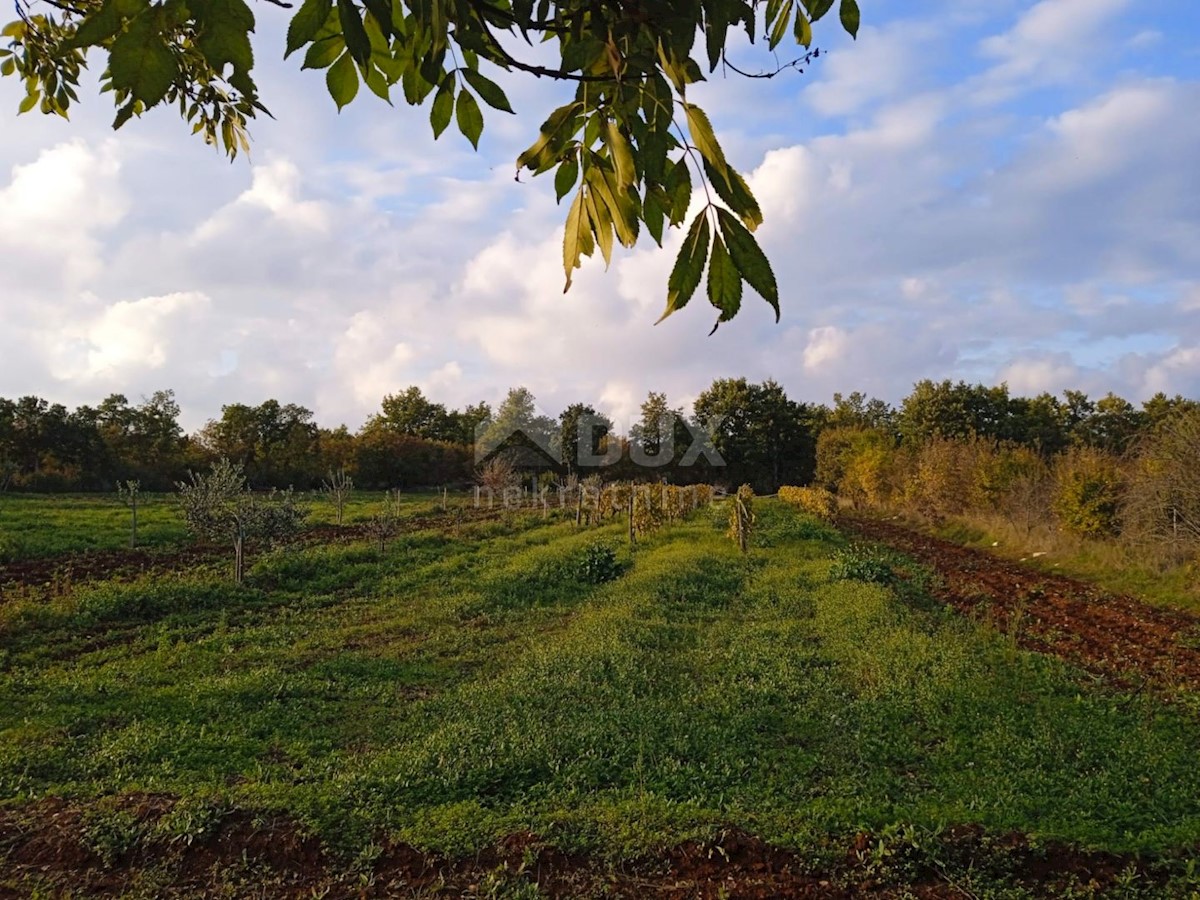 Land For sale - ISTARSKA  SVETVINČENAT 