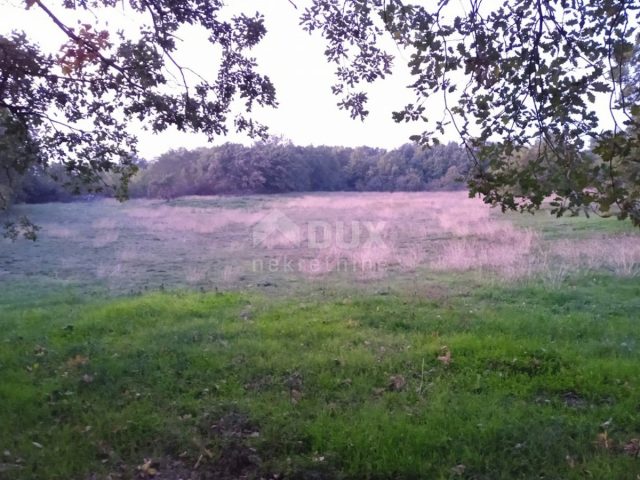 Terreno In vendita - Istarska Kanfanar - foto 2/2