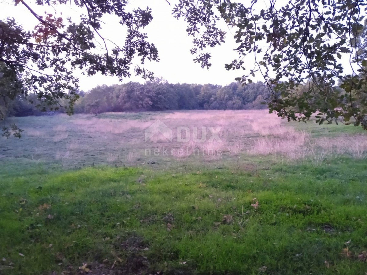 Terreno In vendita - ISTARSKA  KANFANAR 