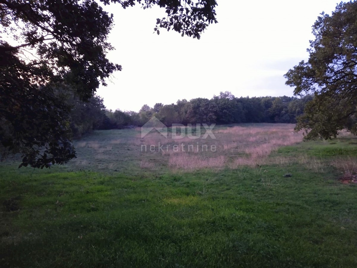 Land For sale - ISTARSKA  Kanfanar