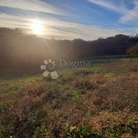 Terrain À vendre - Međimurska Sveti Martin Na Muri - foto 5/11