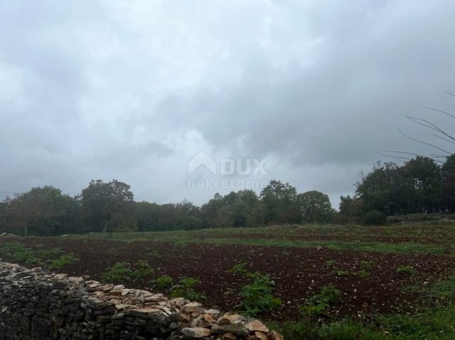 Land For sale - Istarska Sveti Petar U šumi - foto 3/3