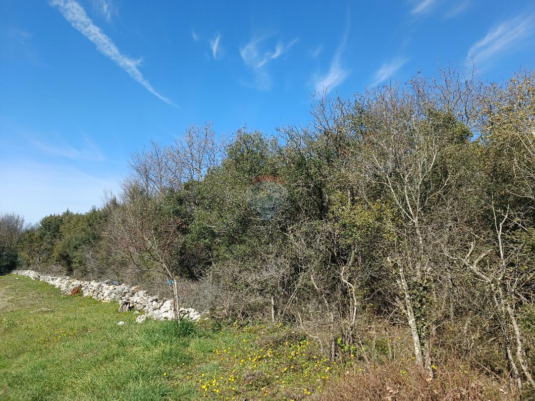 Terrain À vendre - ISTARSKA  Rovinj