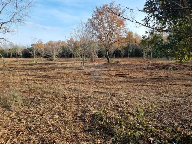 Land for sale 6292 m² – Rovinj