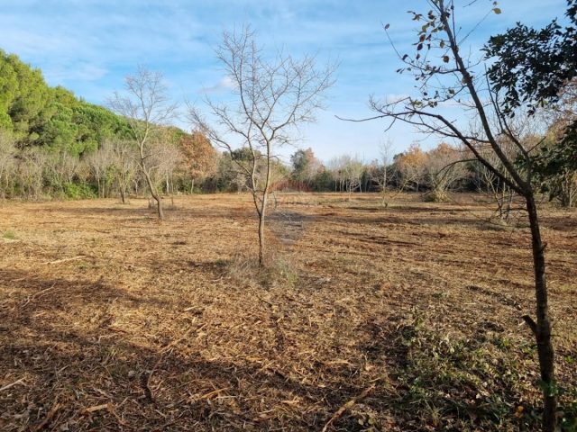Land For sale - Istarska Rovinj - foto 2/5