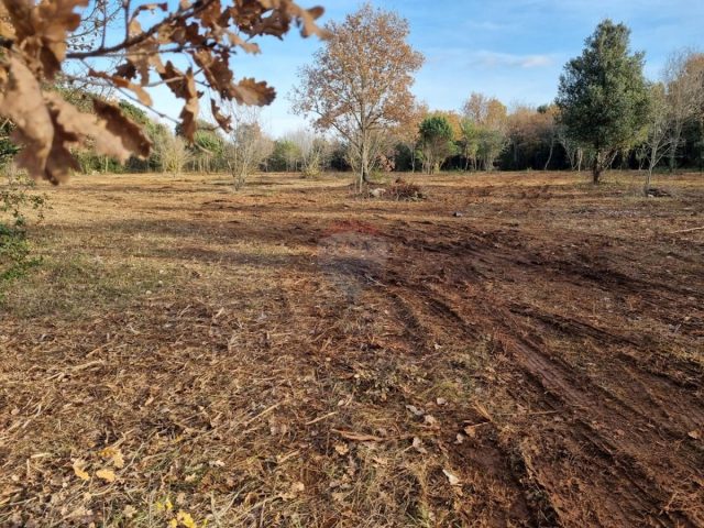 Land For sale - Istarska Rovinj - foto 5/5