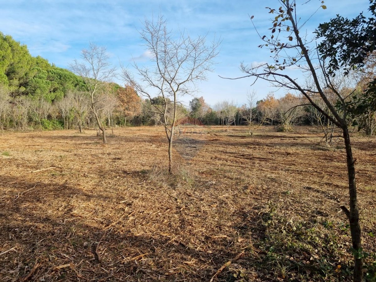 Land For sale - Istarska Rovinj - foto 2/5