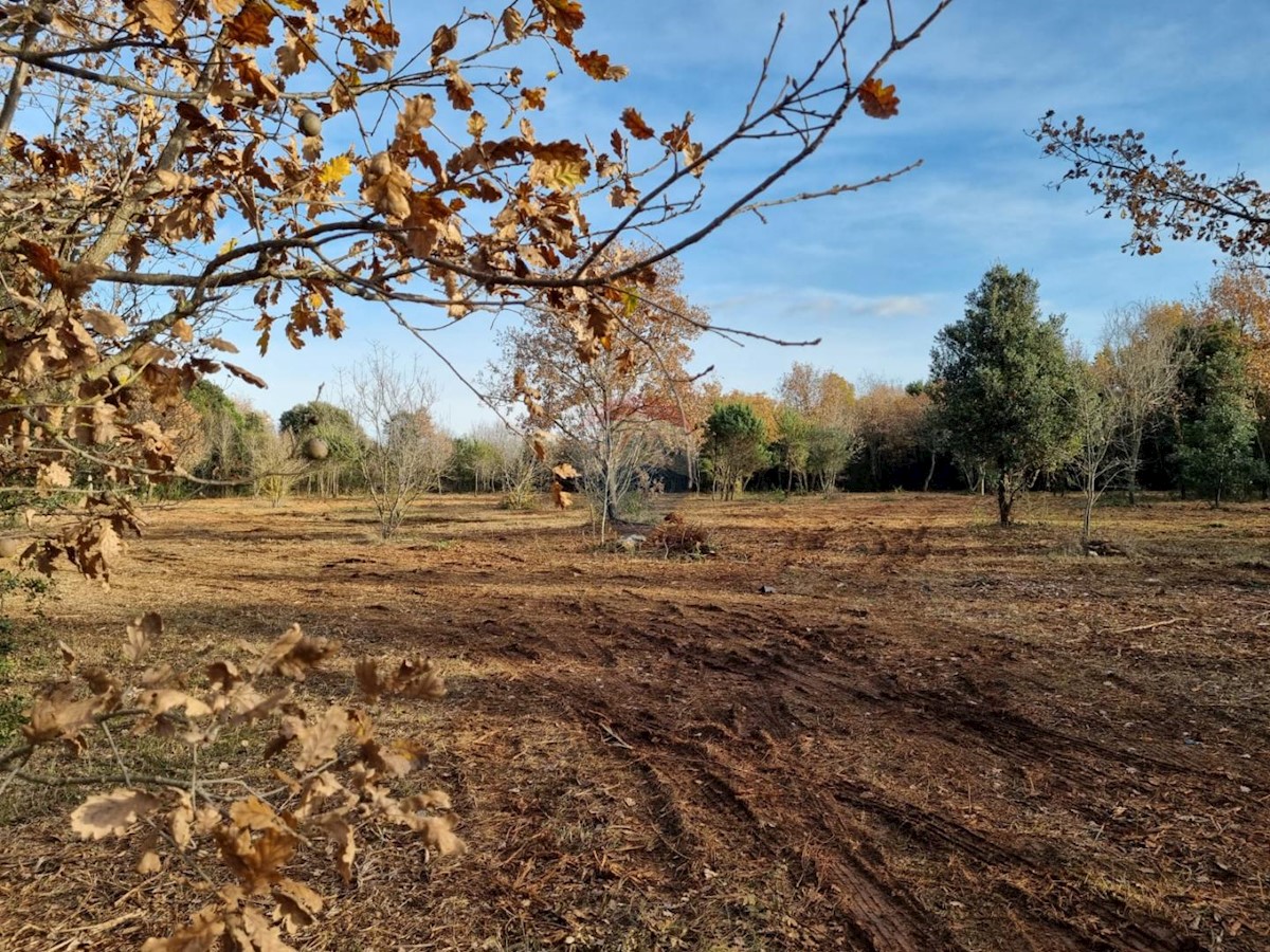 Land For sale - Istarska Rovinj - foto 3/5