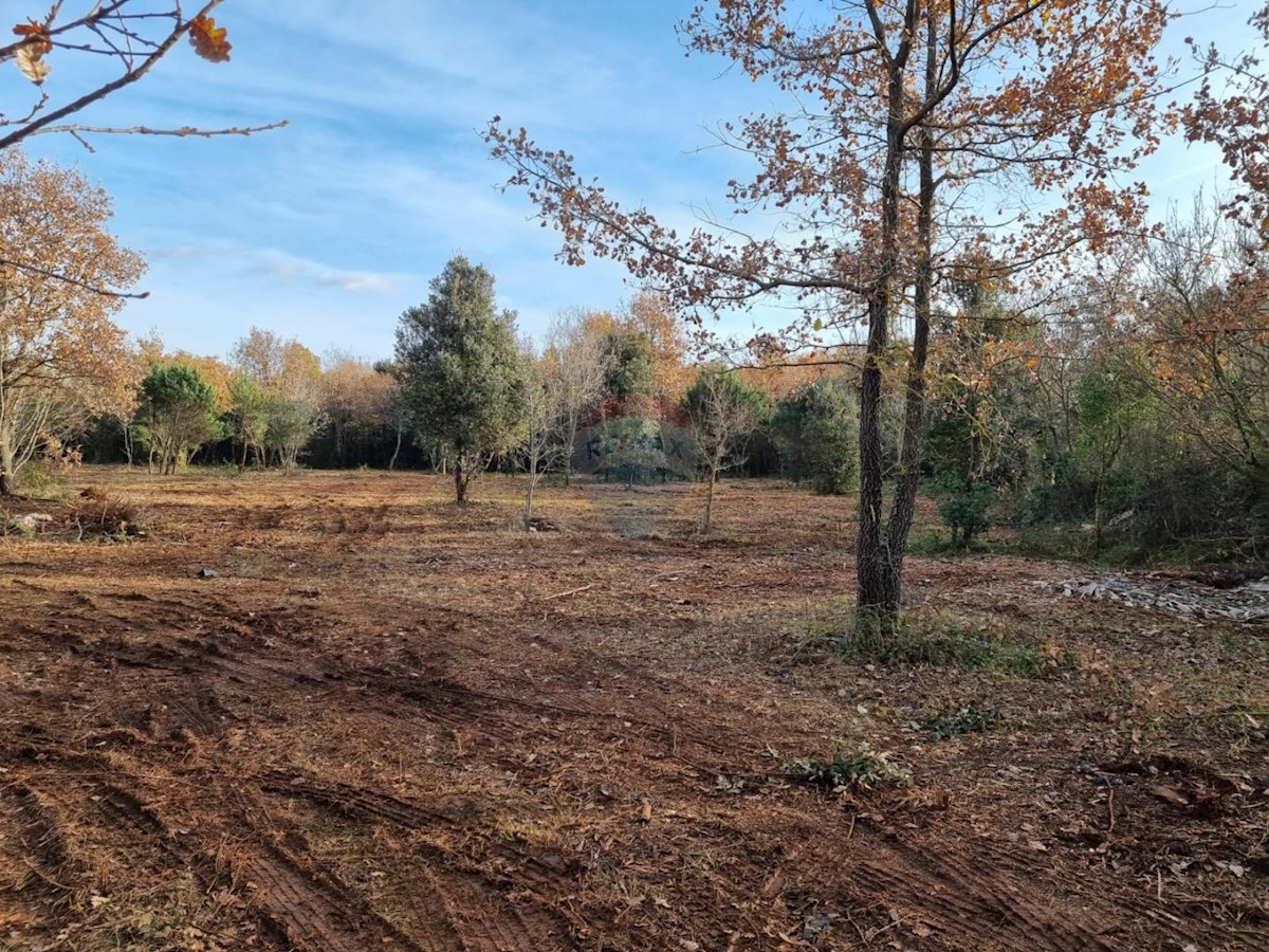 Land For sale - Istarska Rovinj - foto 4/5