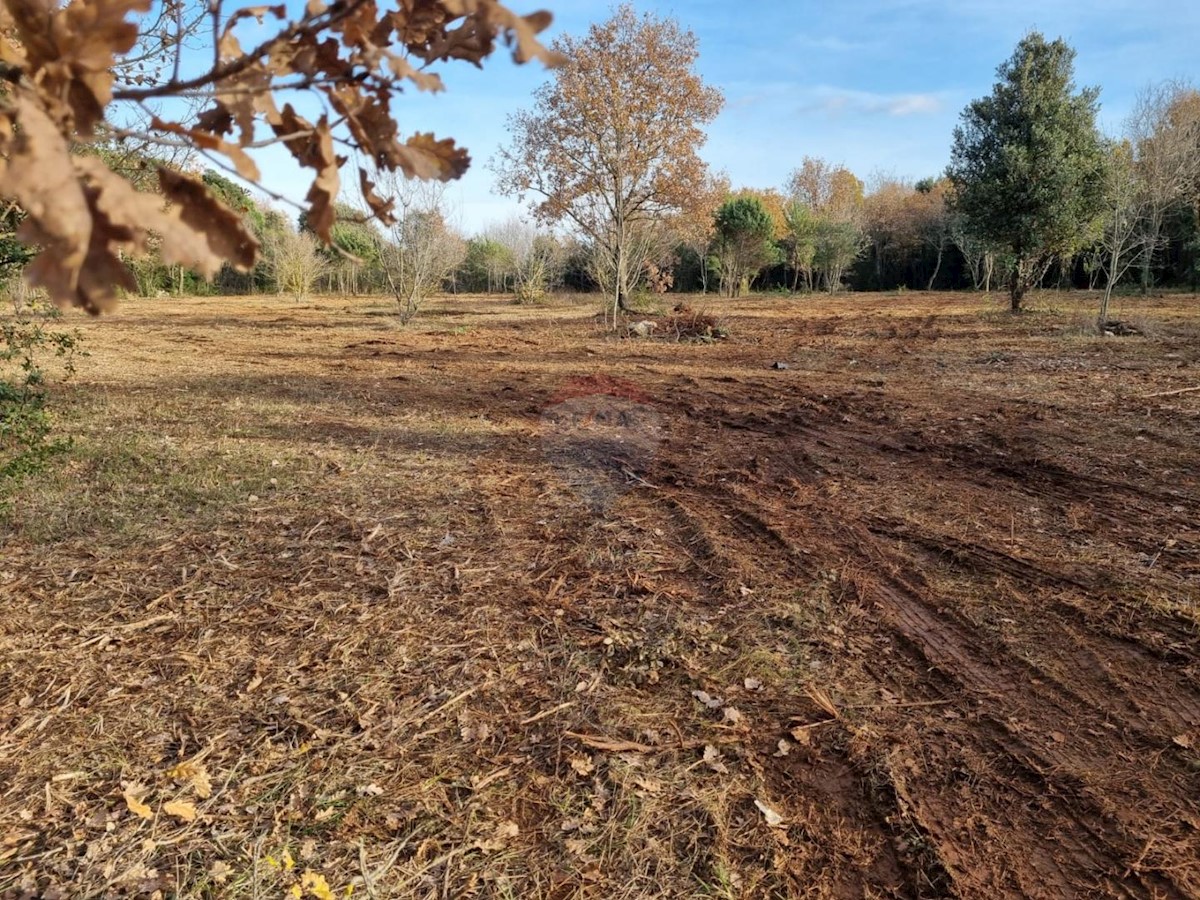 Land For sale - Istarska Rovinj - foto 5/5