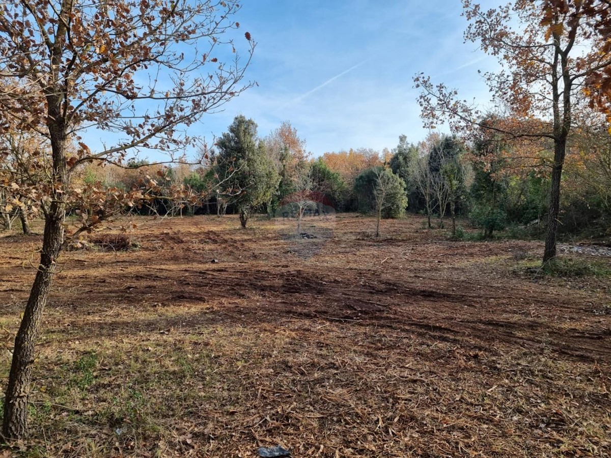 Land For sale - ISTARSKA  Rovinj