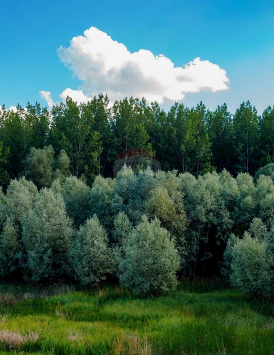 Terreno In vendita - LIČKO-SENJSKA  OTOČAC 