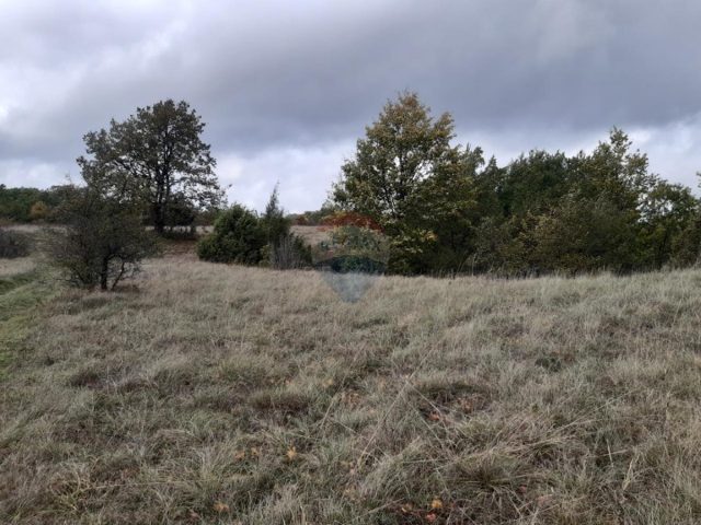 Parcela Naprodaj - Istarska žminj - foto 2/3