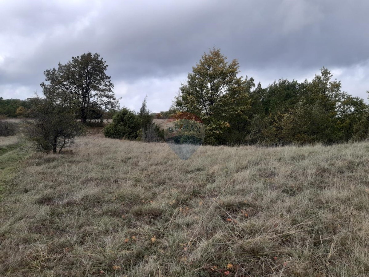 Zemljište Na prodaju - Istarska žminj - foto 2/2