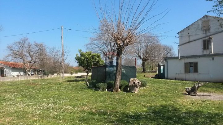 Maison À vendre - Istarska Sveti Lovreč - foto 4/18