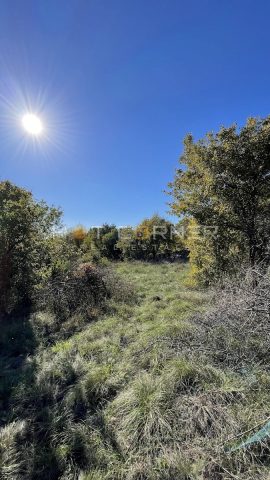 Grundstück Zu verkaufen - Istarska Svetvinčenat - foto 3/14