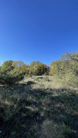 Grundstück Zu verkaufen - Istarska Svetvinčenat - foto 5/14