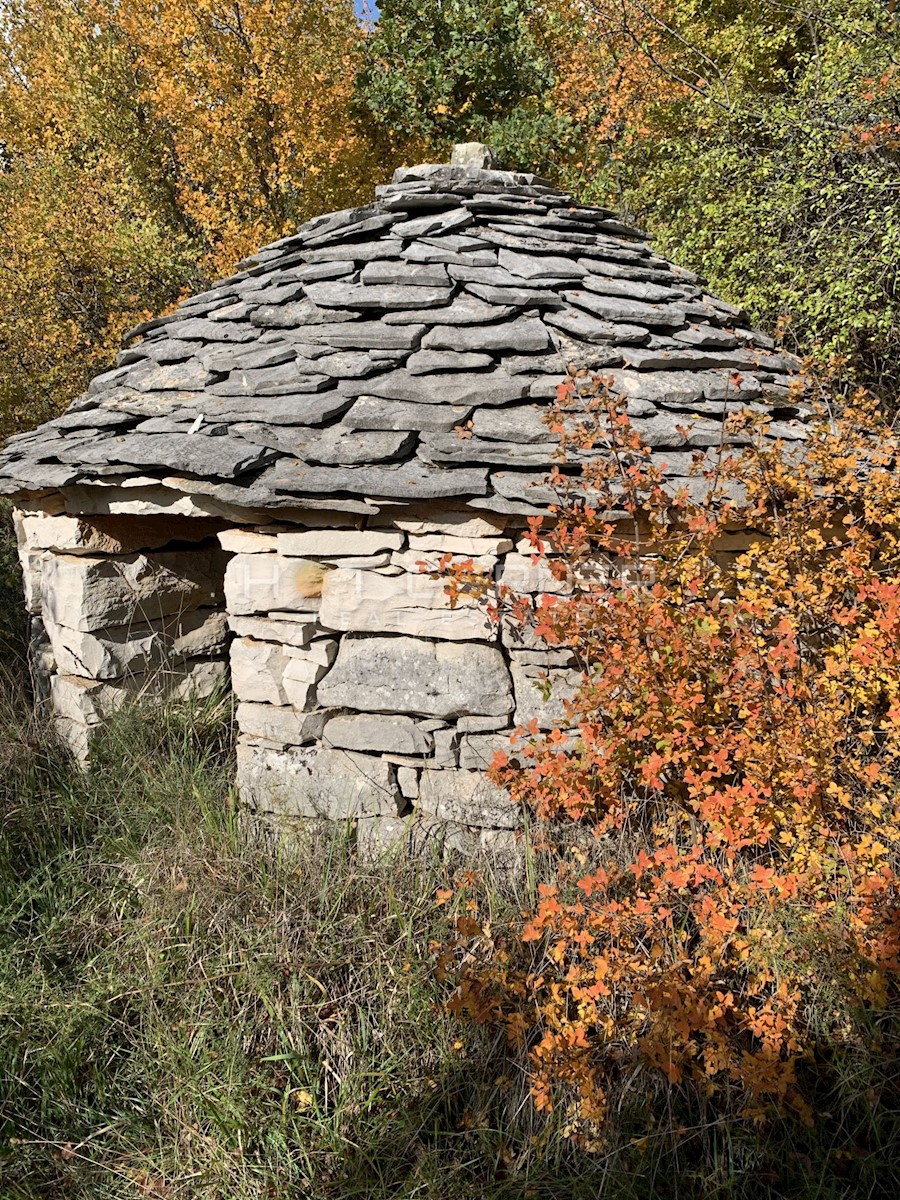 Pozemok Na predaj - ISTARSKA  SVETVINČENAT 