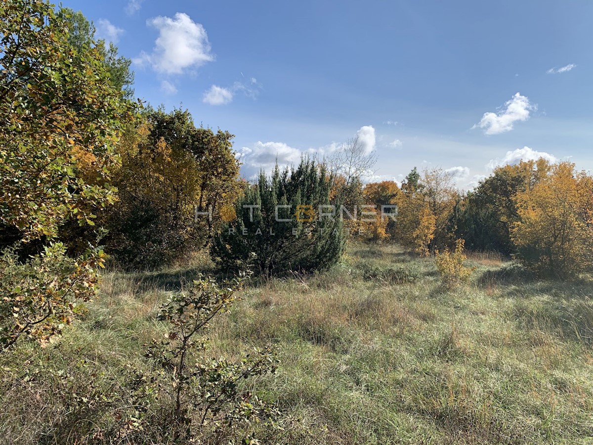 Land For sale - ISTARSKA  SVETVINČENAT 