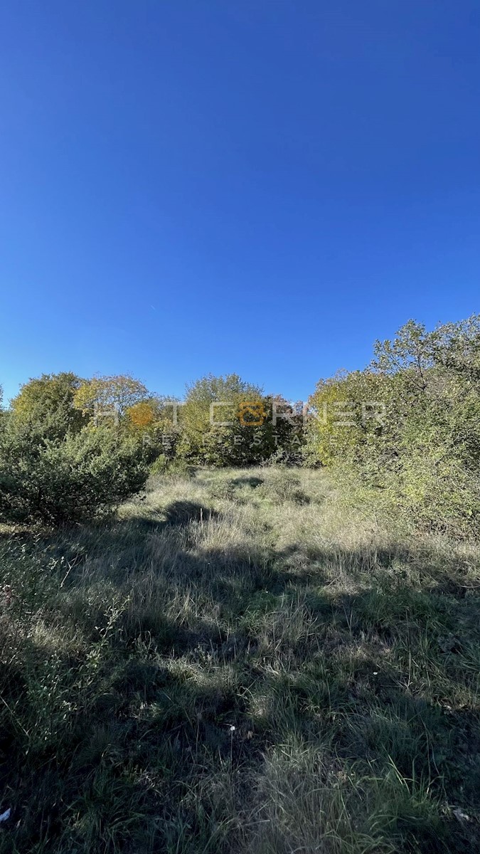 Land For sale - ISTARSKA  SVETVINČENAT 