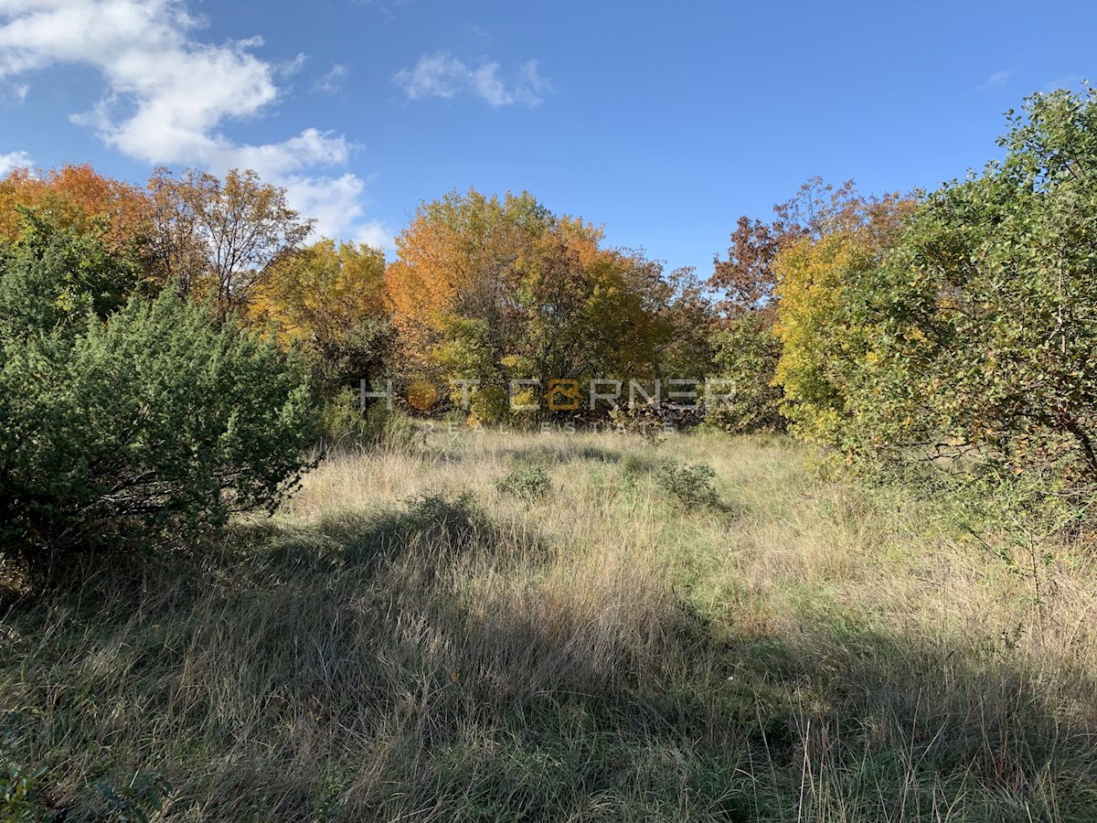 Land For sale - ISTARSKA  SVETVINČENAT 