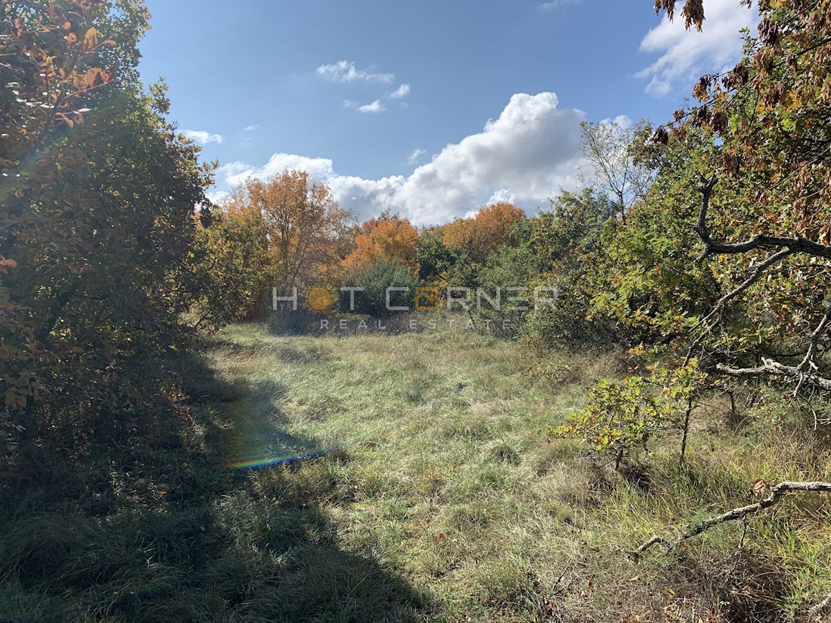 Land For sale - ISTARSKA  SVETVINČENAT 