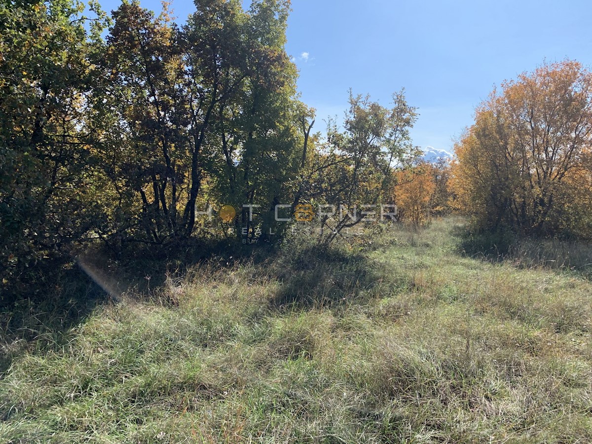 Land For sale - ISTARSKA  SVETVINČENAT 