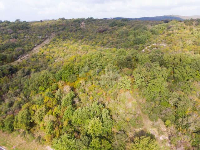 Pozemek na prodej 125719 m² – Rovinjsko Selo