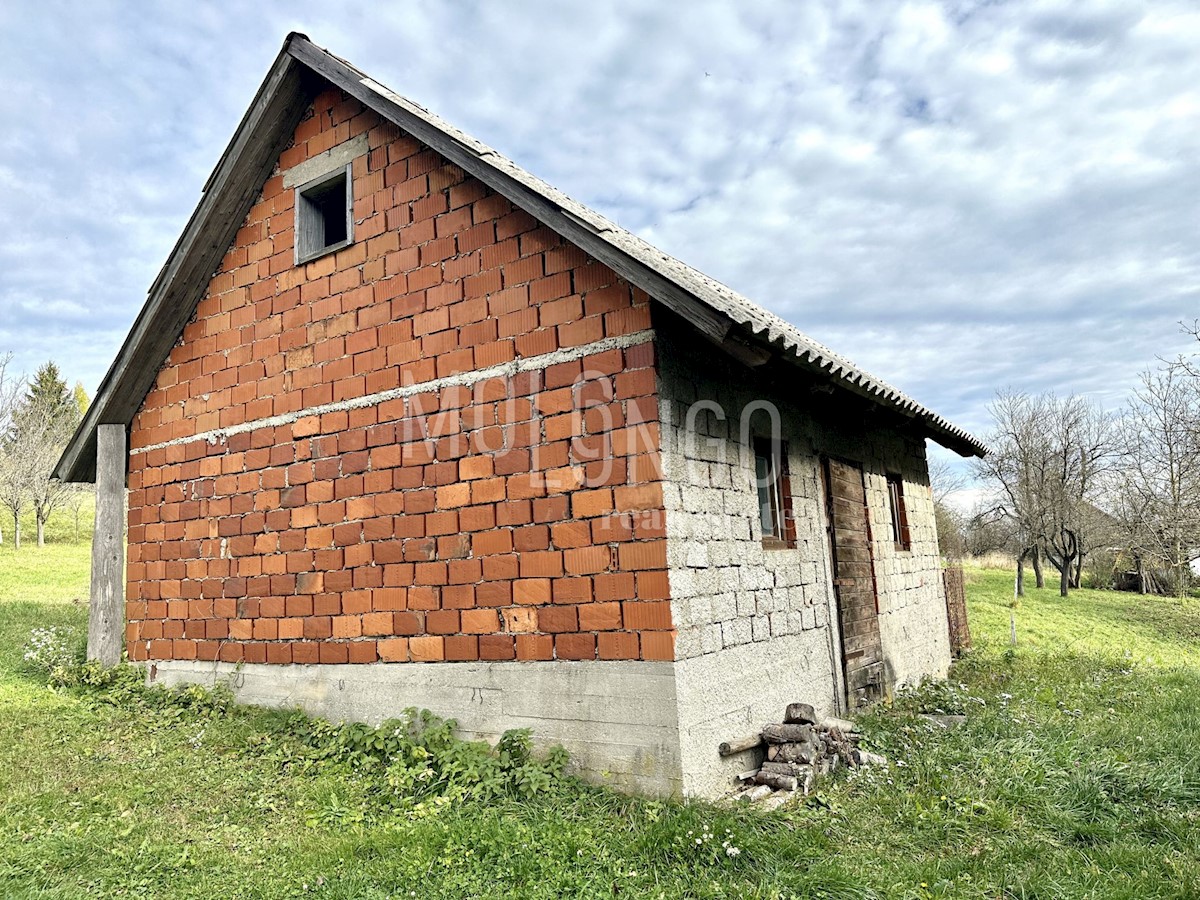 House For sale - PRIMORSKO-GORANSKA  RAVNA GORA 