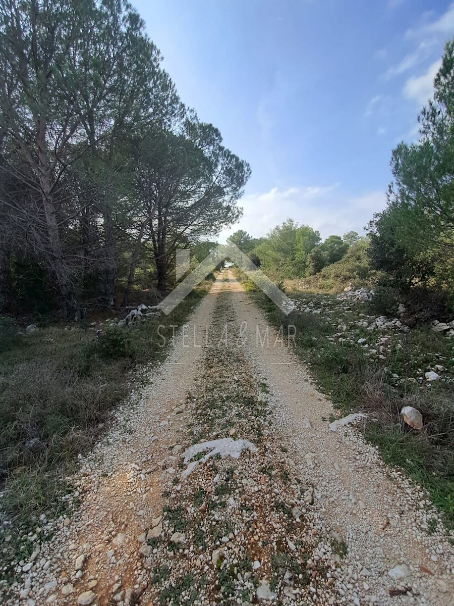 Terrain À vendre - ZADARSKA  VIR 