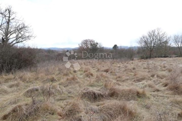 Pozemek na prodej 3713 m² – Martinčići