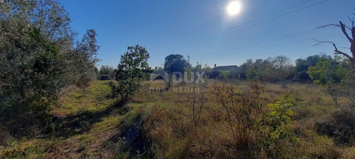 Terreno in vendita 3020 m² – Fažana