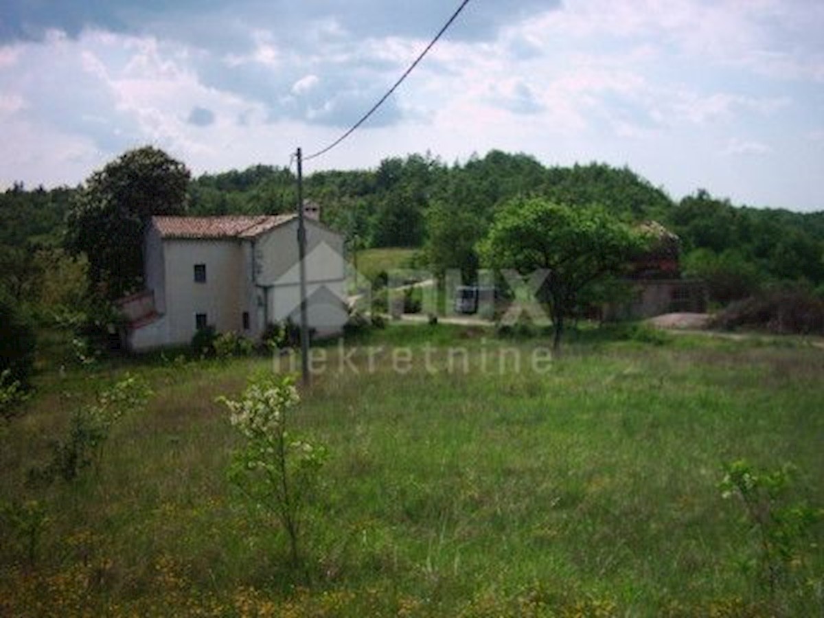 House For sale - ISTARSKA  BUZET 