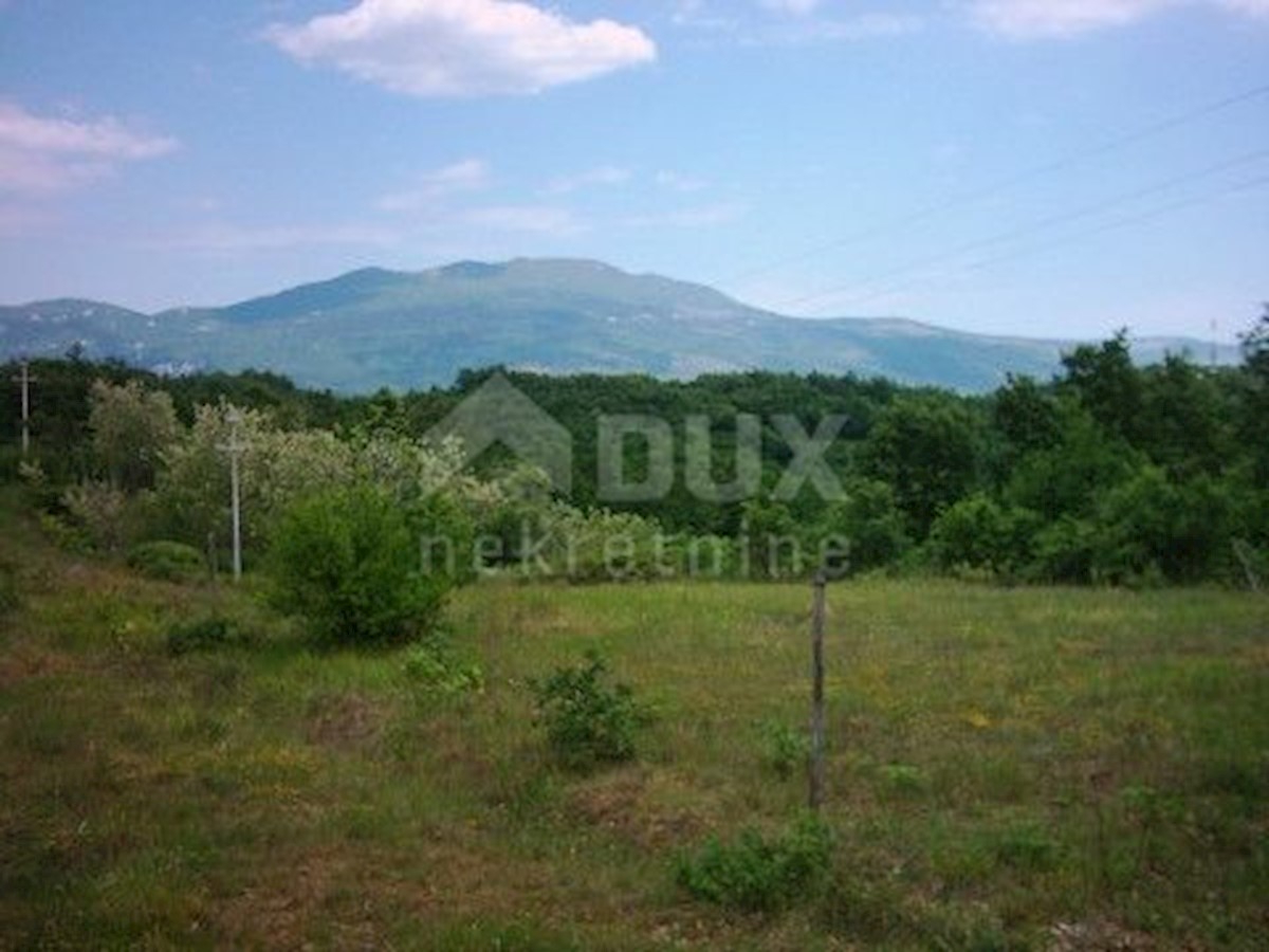 House For sale - ISTARSKA  BUZET 