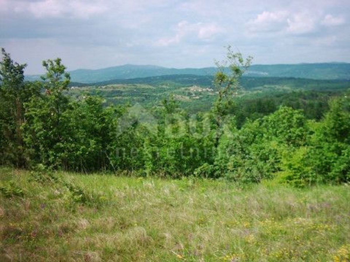 Dom Na predaj - ISTARSKA  BUZET 